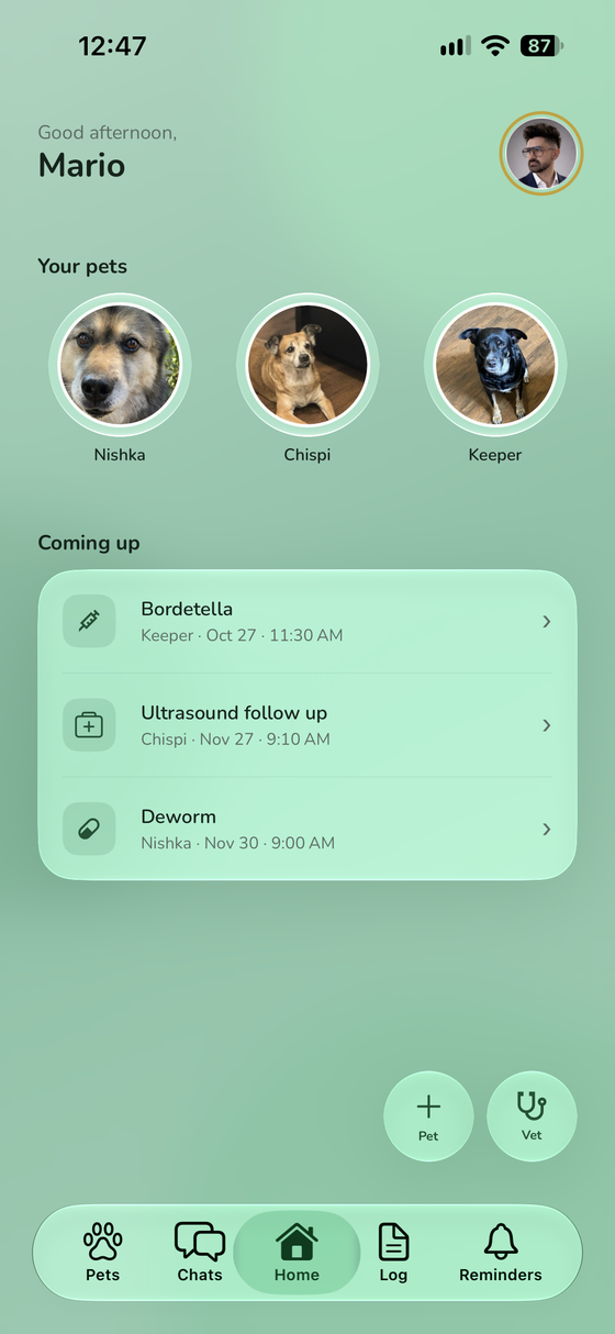 Ostler&rsquo;s home screen: Bella and Milo, with Apoquel, Flea & tick, a rabies booster and an ear recheck listed under Coming up.